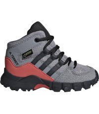 Adidas Avalynė Vaikams Terrex Mid Gtx Grey  D97656