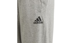 Adidas YG Tapered Pants for Teens Grey CF7257