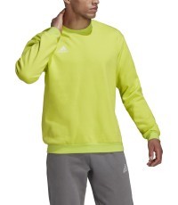 Мужская толстовка Adidas Ent22 Sw Top HC5049