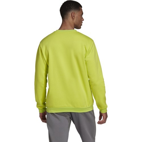 Мужская толстовка Adidas Ent22 Sw Top HC5049