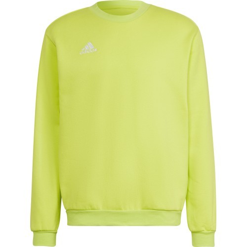 Мужская толстовка Adidas Ent22 Sw Top HC5049