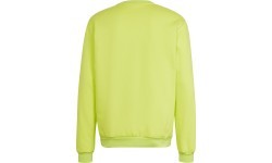 Мужская толстовка Adidas Ent22 Sw Top HC5049
