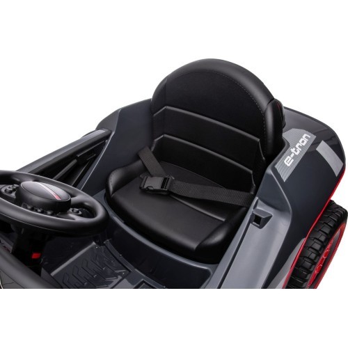 Elektromobilis Audi RSQ E-TRON, pilkas