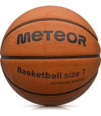 Cellular training  basketball 7 brown 8 panels