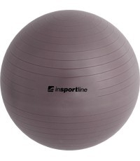 Gimnastikos kamuolys + pompa inSPORTline Top Ball 65cm - Pilka