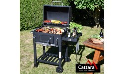 Anglinis grilis su ketaus grotelėmis Cattara Royal Classic