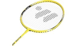 Badmintono rinkinys Nils ALUMTEC 4466: 2 raketės + 3 smiginio strėlytės + tinklelis