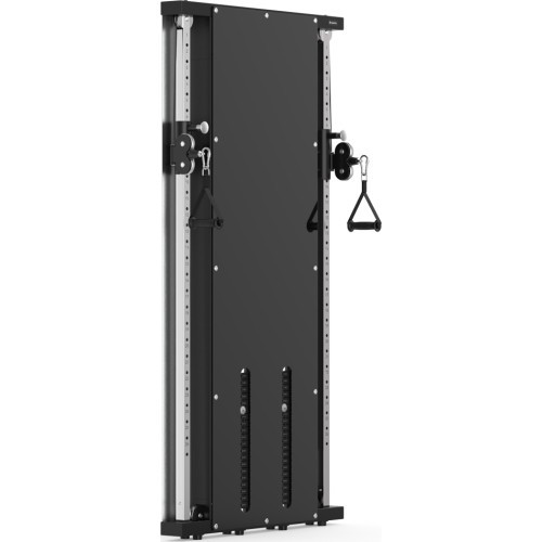 Wall-Mounted Power Rack inSPORTline Cable Column CC350