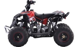 Бензиновый квадроцикл Renegade 110CC, красный