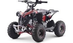 Бензиновый квадроцикл Renegade 110CC, красный