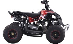 Benzininis keturratis Renegade 110CC, raudonas
