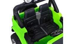 Jeep Wrangler Rubicon, žalias