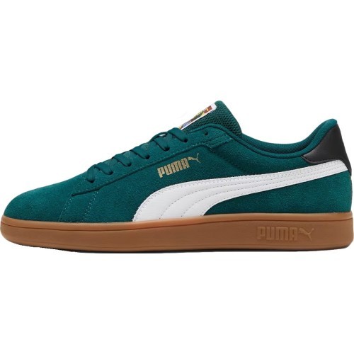Мужская обувь Puma Smash 3.0 Year Of Sport Green 397484 01