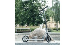 Scooter inSPORTline Wayotan