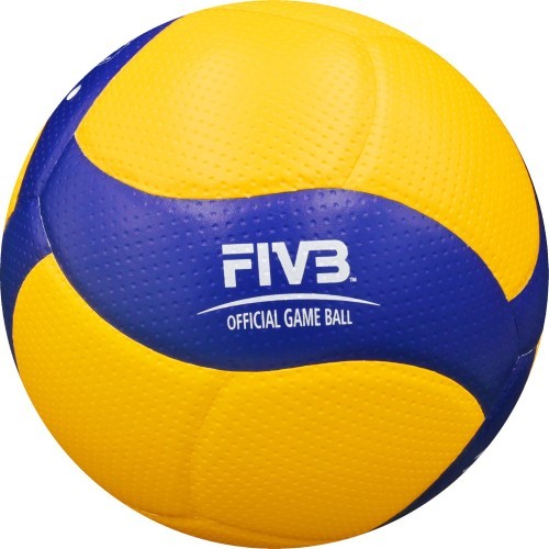 Volleyball Mikasa V200W