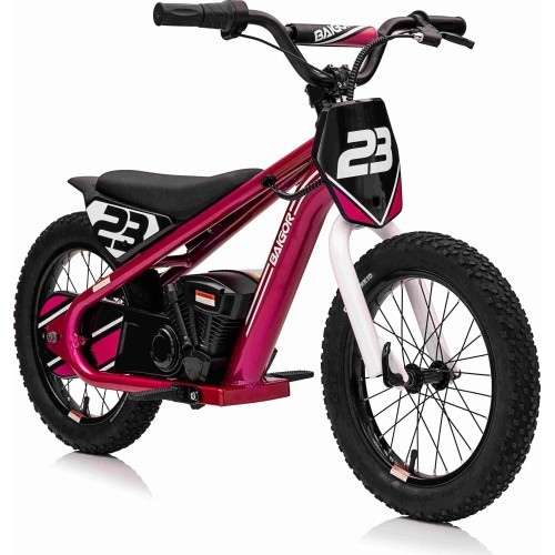 Motor BAIGOR 23 PRO Pink