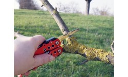 Multi-Tool Origin Outdoors Heavy Duty