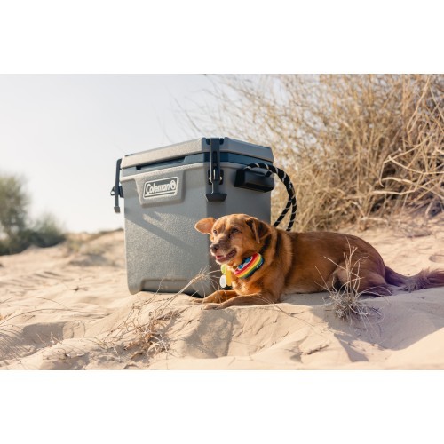 Термобокс Coleman Convoy 28 qt