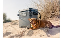 Термобокс Coleman Convoy 28 qt