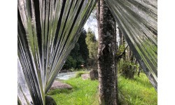 Origin Outdoors Survival Tent
