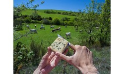 Складной нож baladeo Terroir