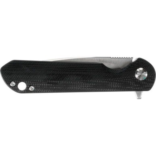 Ganzo Firebird FH41S-BK folding knife