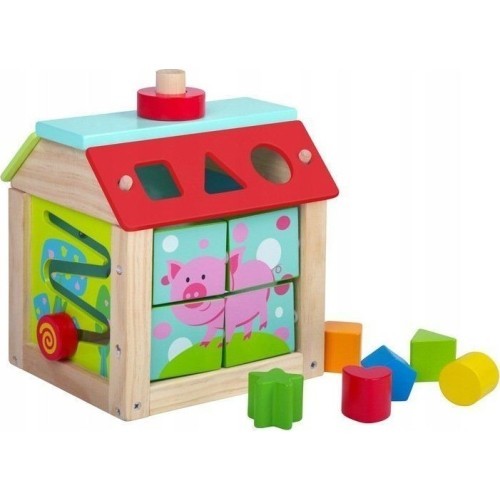 Medinė edukacinė kubo rūšiuoklė su kaladėlėmis Ecotoys