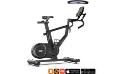 Exercise Bike inSPORTline ZenRoute 250