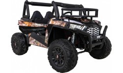 Vehicle Buggy UTV Black