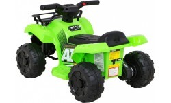 Vehicle Quad Storm Green