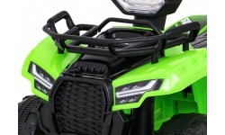 Vehicle Quad Storm Green