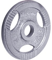 Steel weight for gripper 30mm inSPORTline Hamerton 5kg