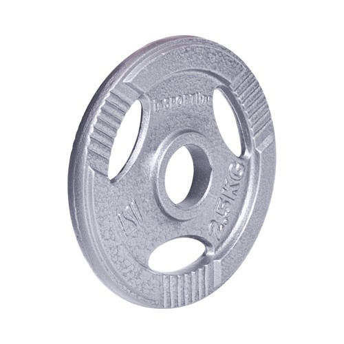 Steel Plate inSPORTline Hamerton 2.5 kg