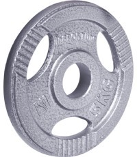 Olympic Steel Plate inSPORTline Hamerton 5 kg