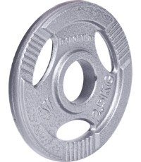 Olympic Steel Plate inSPORTline Hamerton 2.5 kg