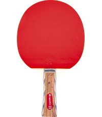 Ракетка для настольного тенниса inSPORTline Shootfair S4