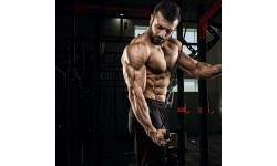 Подвесная тросовая блочная система inSPORTline Puley 100