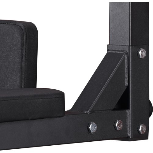 Настенный турник inSPORTline L-Bar
