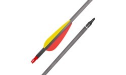 Carbon Arrows w/ Screw-In Tips inSPORTline Carbison 30”, 10pcs, Red-Yellow
