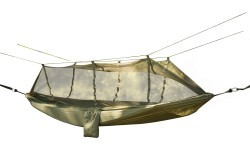 Hammock Yate Nidus