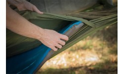 Hammock Yate Nidus