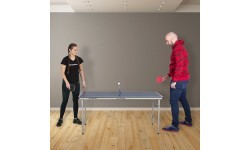 Table Tennis Table inSPORTline Sunny Mini