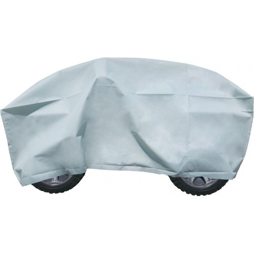 Vehicle AUDI R8 Spyder RS EVA 2 4 G Yellow