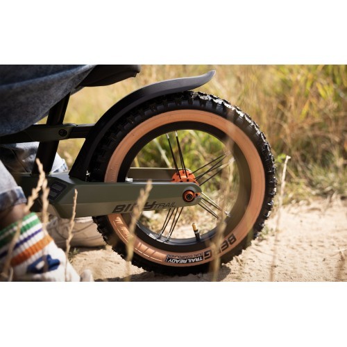 BERG Biky Trail зелёный с ручным тормозом