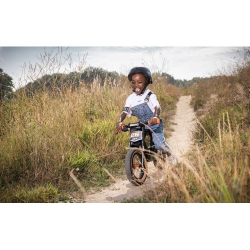 BERG Biky Trail зелёный с ручным тормозом