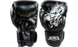 Joya White Dragon Kickboxing gloves
