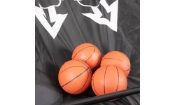 Dvigubas krepšinio stovas su rezultatų lenta inSPORTline Calister