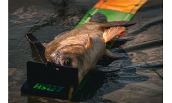 Žvejybinės svarstyklės ZFISH Challenger