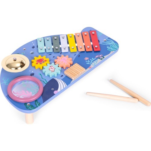 Instrument table music table dulcimer cymbal percussion cymbal grater marine theme ECOTOYS