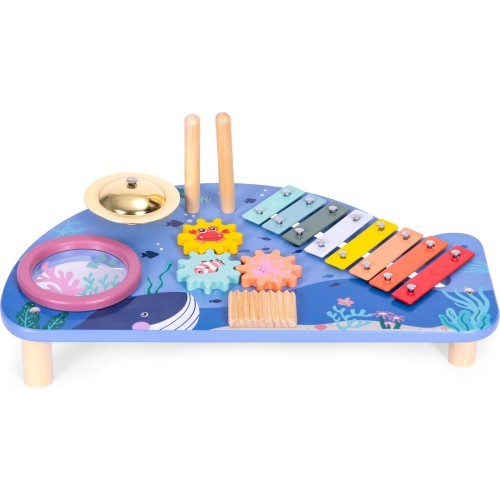 Instrument table music table dulcimer cymbal percussion cymbal grater marine theme ECOTOYS